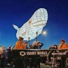 The Giant Whale sponsored by Morecambe BID