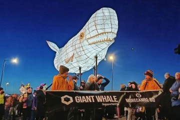 The Giant Whale sponsored by Morecambe BID