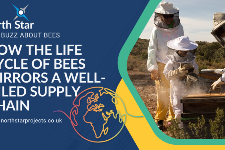 Bees and Supply Chain Article (1200 x 630 px).png.png